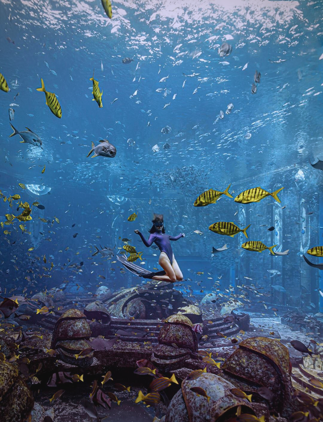 乐鱼电竞在线平台登录入口-浮潜和潜水比赛，探索海底的神秘世界