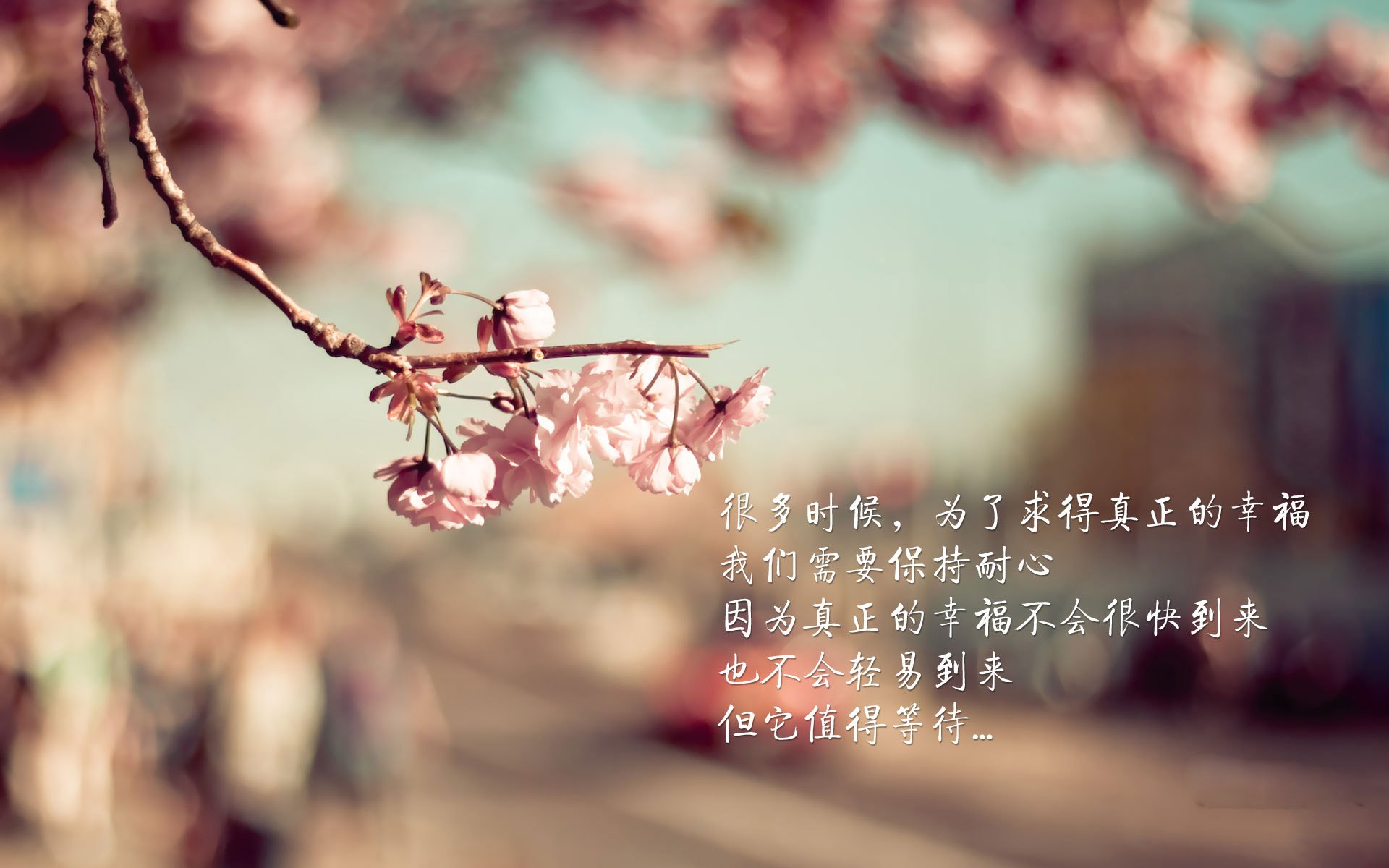 《Uzi:从无名到传奇,电竞梦想永不止步》,uzi在电竞圈的地位