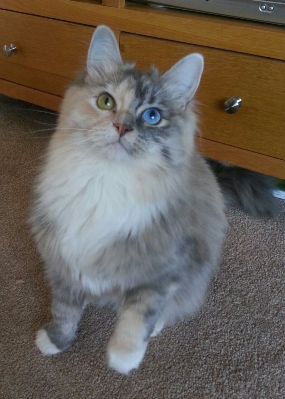 全国青少年“篮球+文化+旅游”融合发展新模式在昆明落地,青少年全国篮球联赛