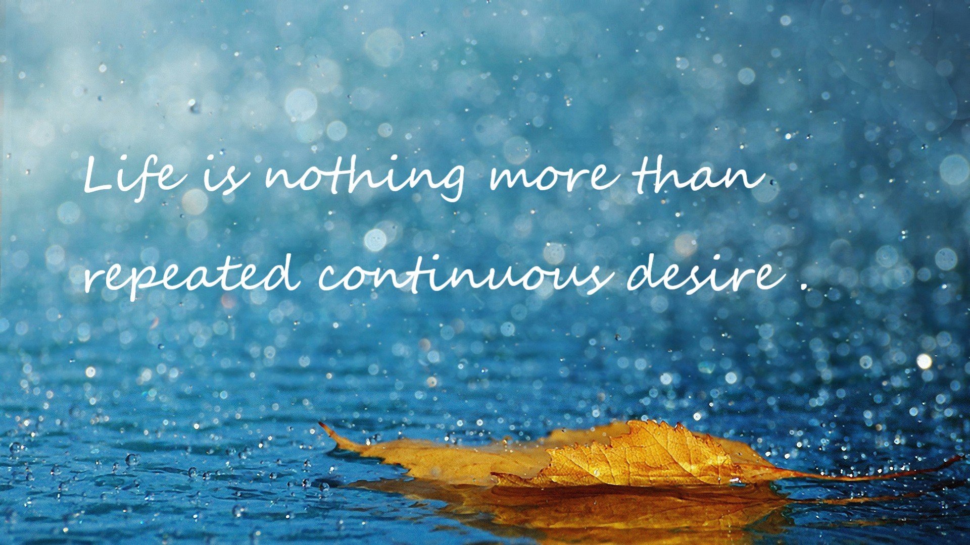 史上最年轻冠军出炉,刷新纪录,史上最年轻mvp