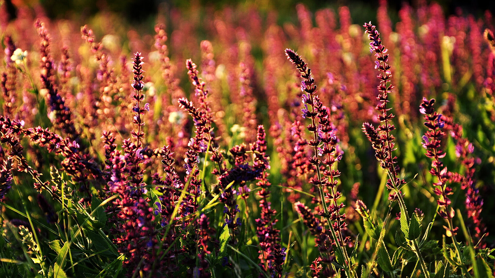 天气预报影响中超比赛，赛程调整引关注，中超预测今天