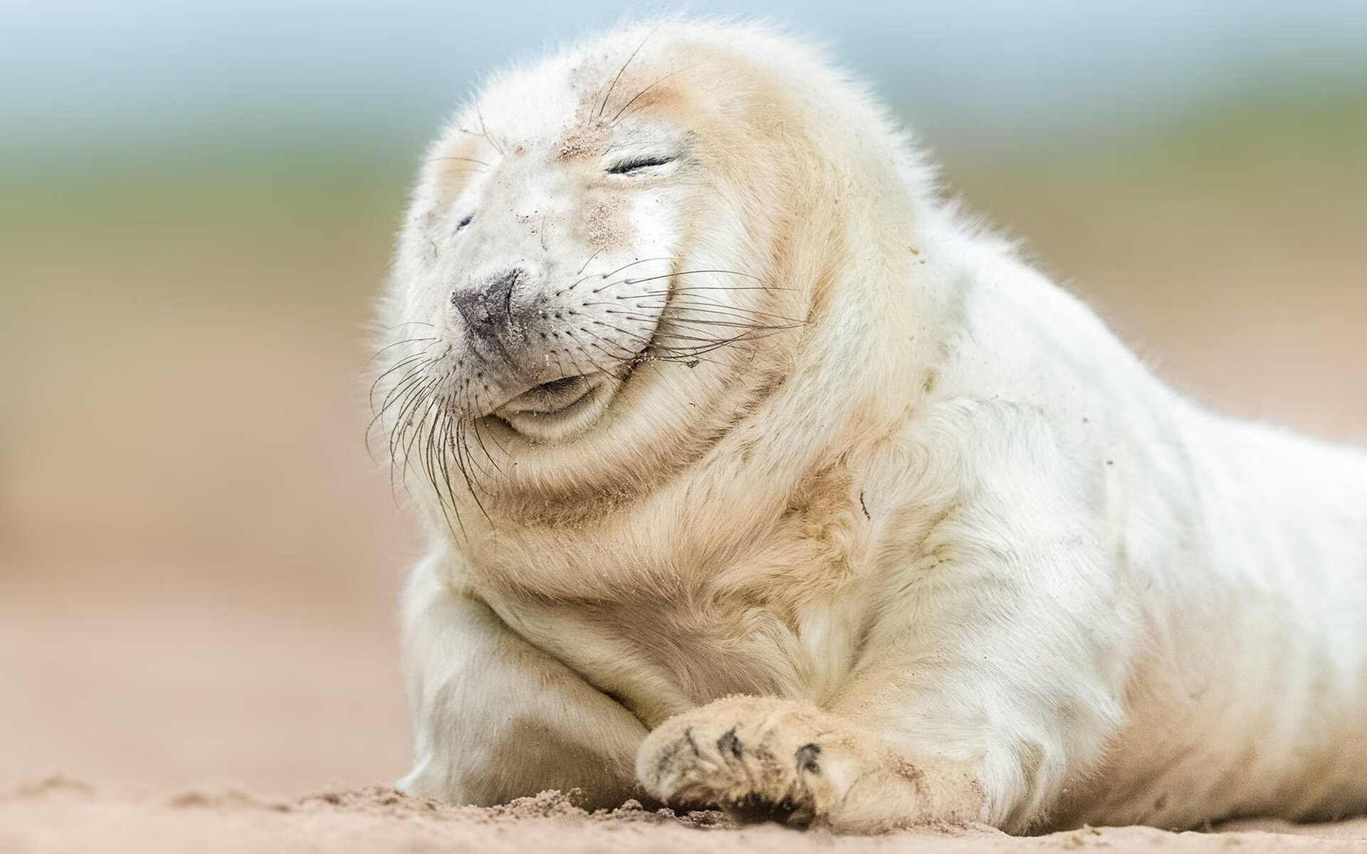 皇家社会新秀崭露头角,皇家社会是什么