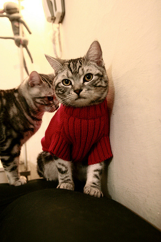 乐鱼官方登录入口-雷霆首次组建“球员创意委员会”，鼓励表达多元意见，雷霆 球员