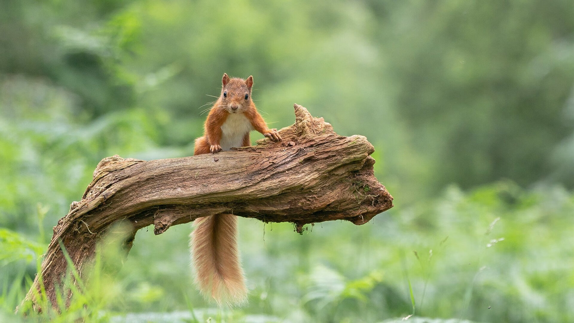 乐鱼（中国）体育官方网站-震撼人心的“最后一击”：欧冠最经典绝杀盘点，历届欧冠小组赛最后一轮比分