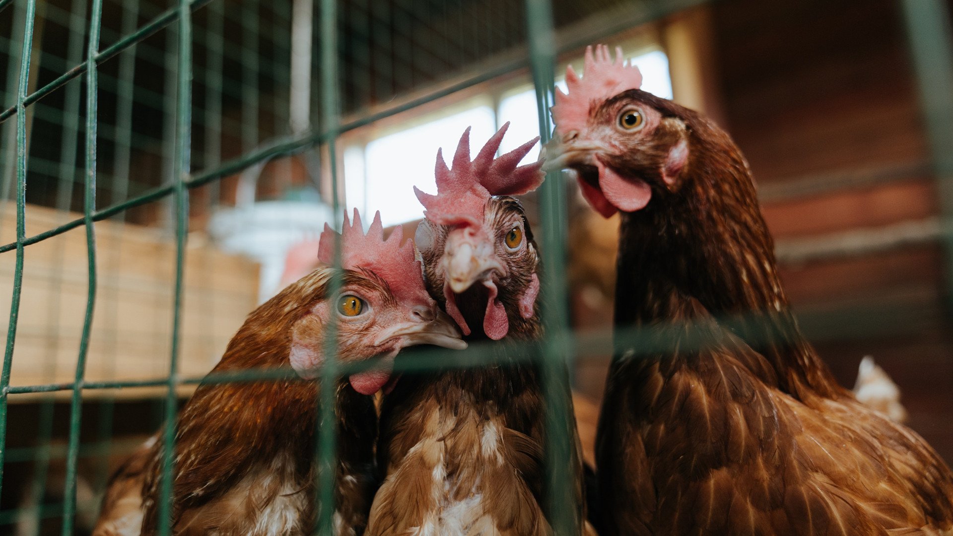 LEYU乐鱼体育官方网站-震撼人心的欧冠“全场最佳”球员盘点，欧冠最佳23人阵容出炉