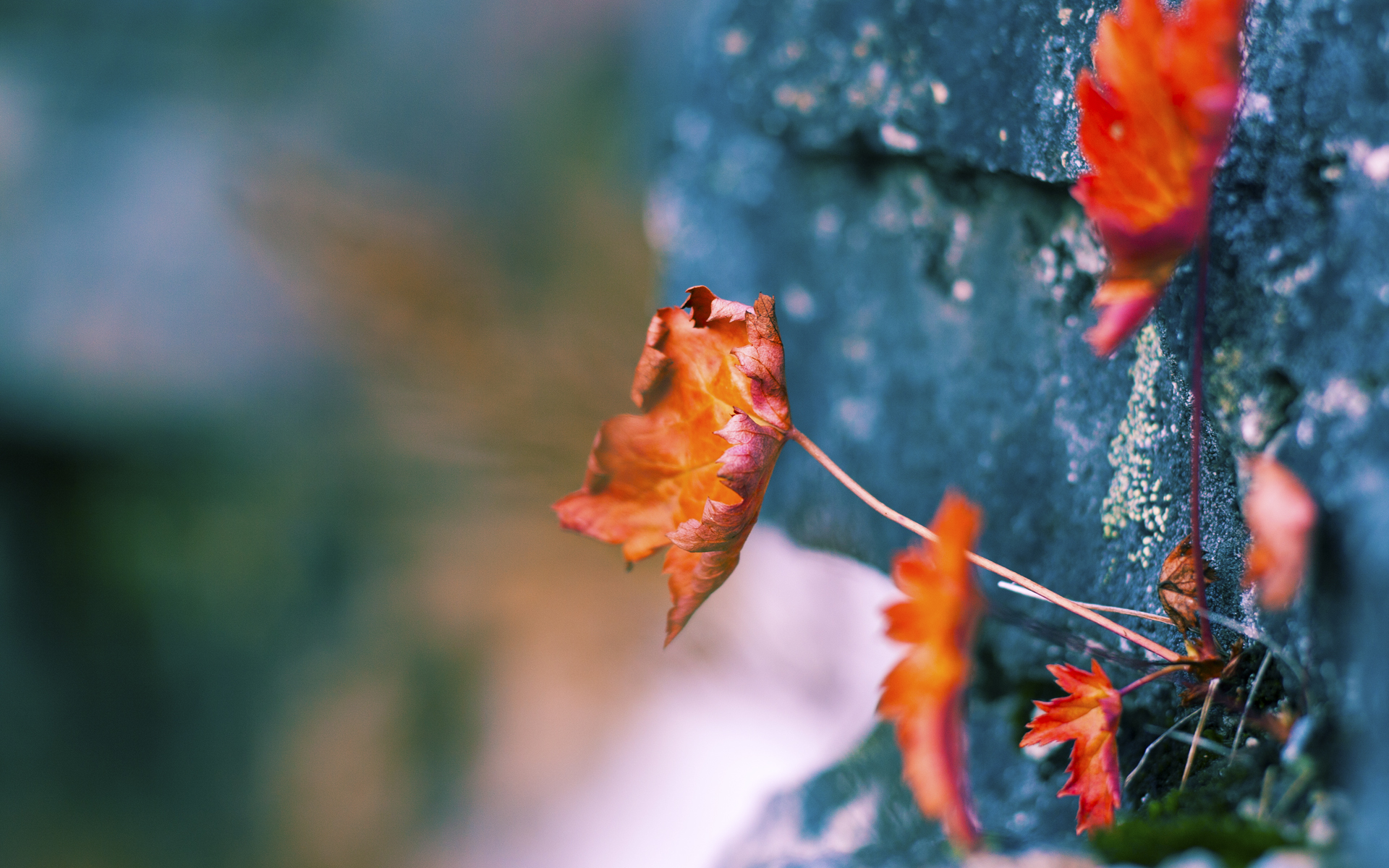 Heroic 战队在 IEM Rio Major 中表现出色，hero战队是哪个城市的