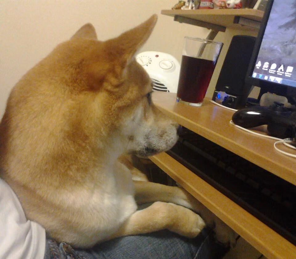 兰德尔带伤作战,仍展现出色个人能力,兰德尔打法