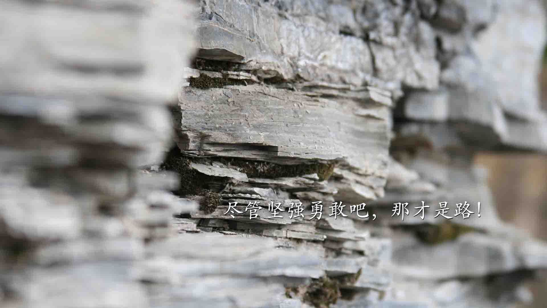 国家队篮球技战术研究进展,国家篮球发展