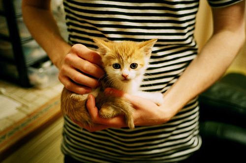 乐鱼体育App下载-欧冠挑战在即，马赛备战显得信心十足，马赛 欧冠