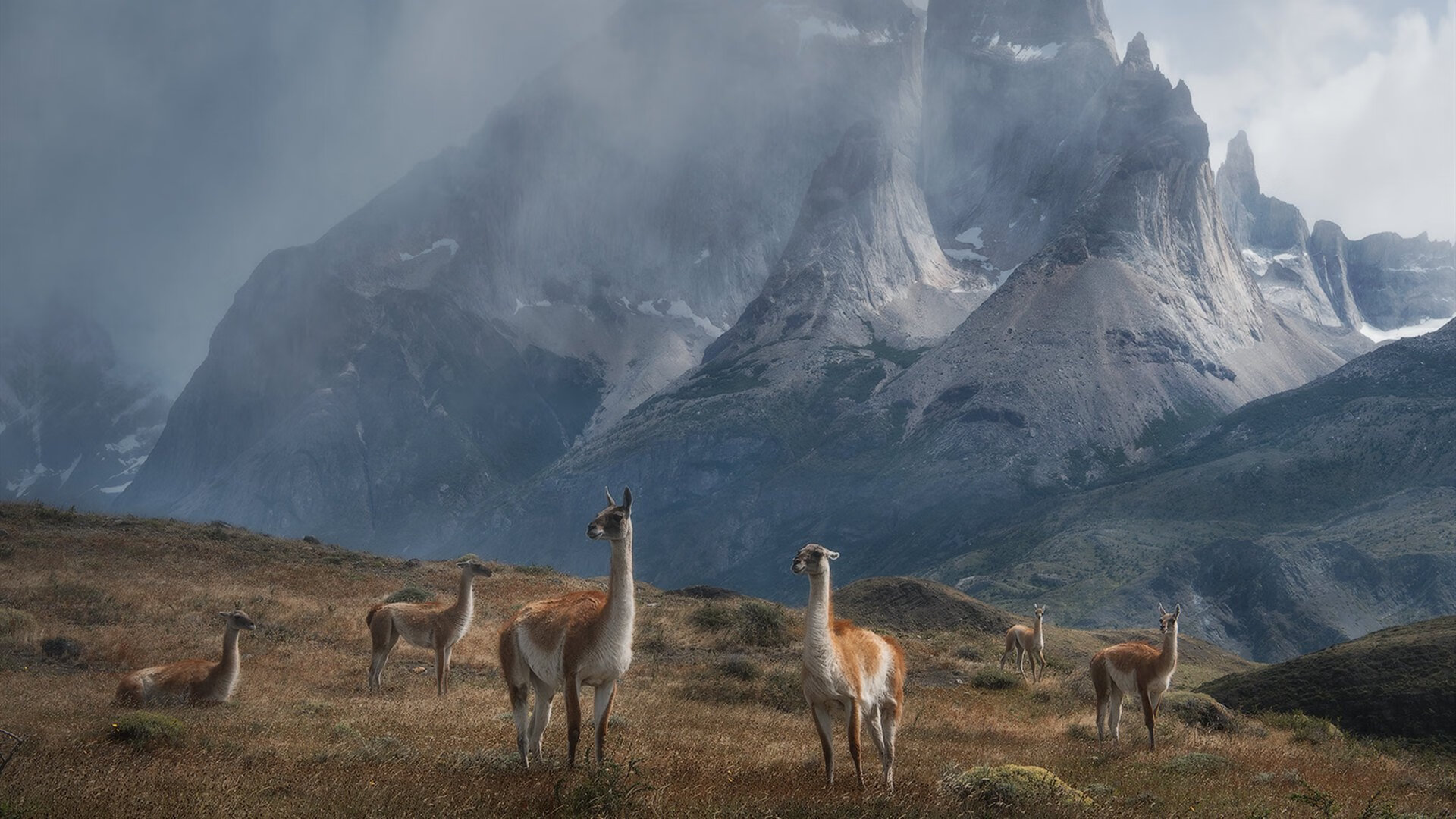 瑞典战队 Dignitas 计划扩展至其他电子竞技项目，瑞典nip战队