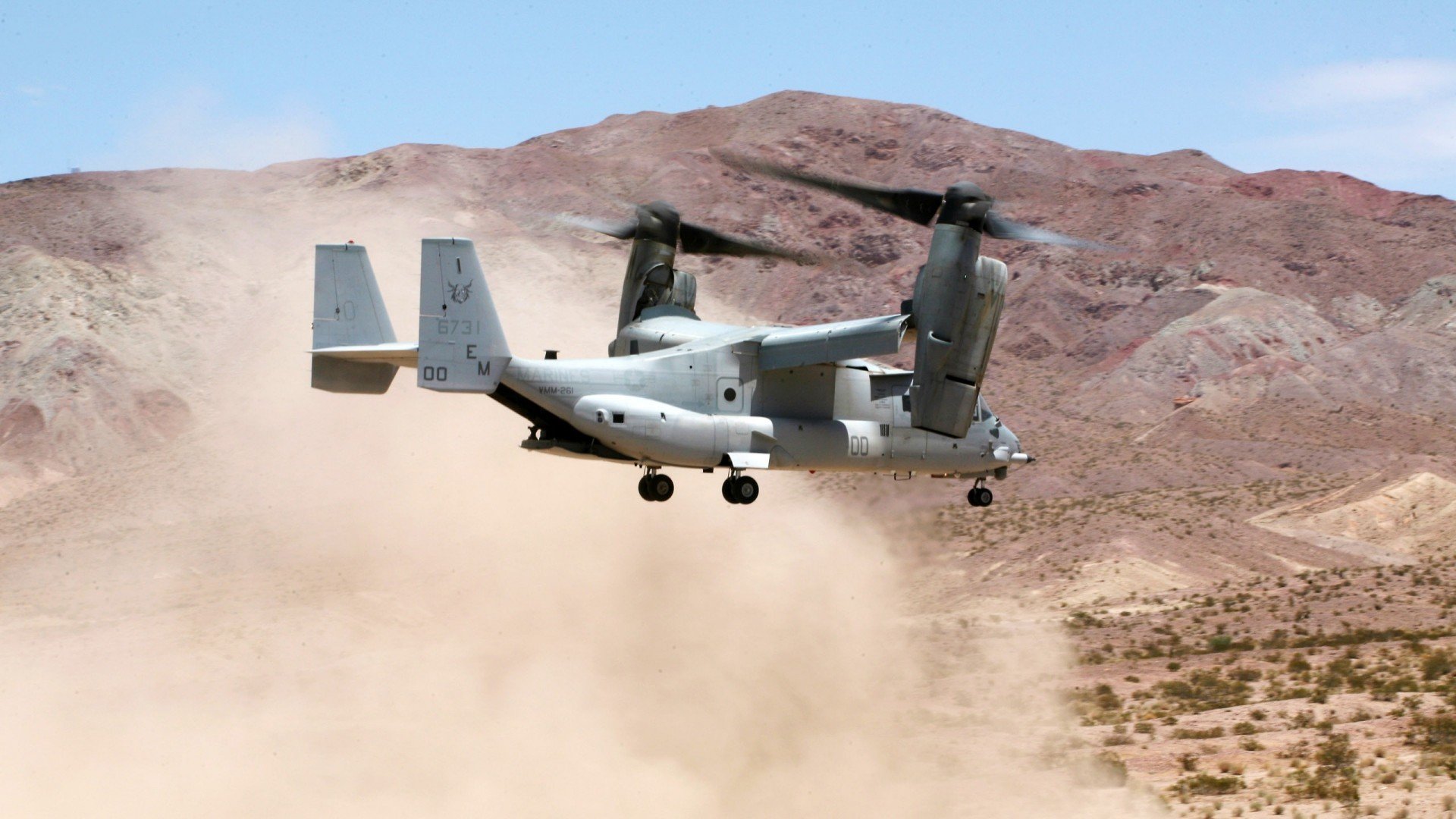 美国击败厄瓜多尔，卡利斯莱德进球，美国击败厄瓜多尔,卡利斯莱德进球视频