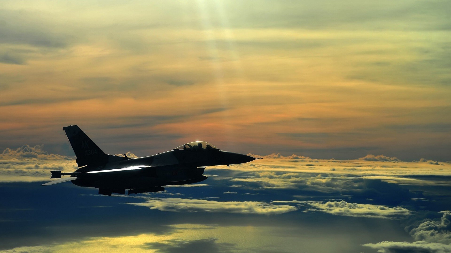 全国青少年马术耐力赛辽宁站圆满结束,马术耐力赛记录