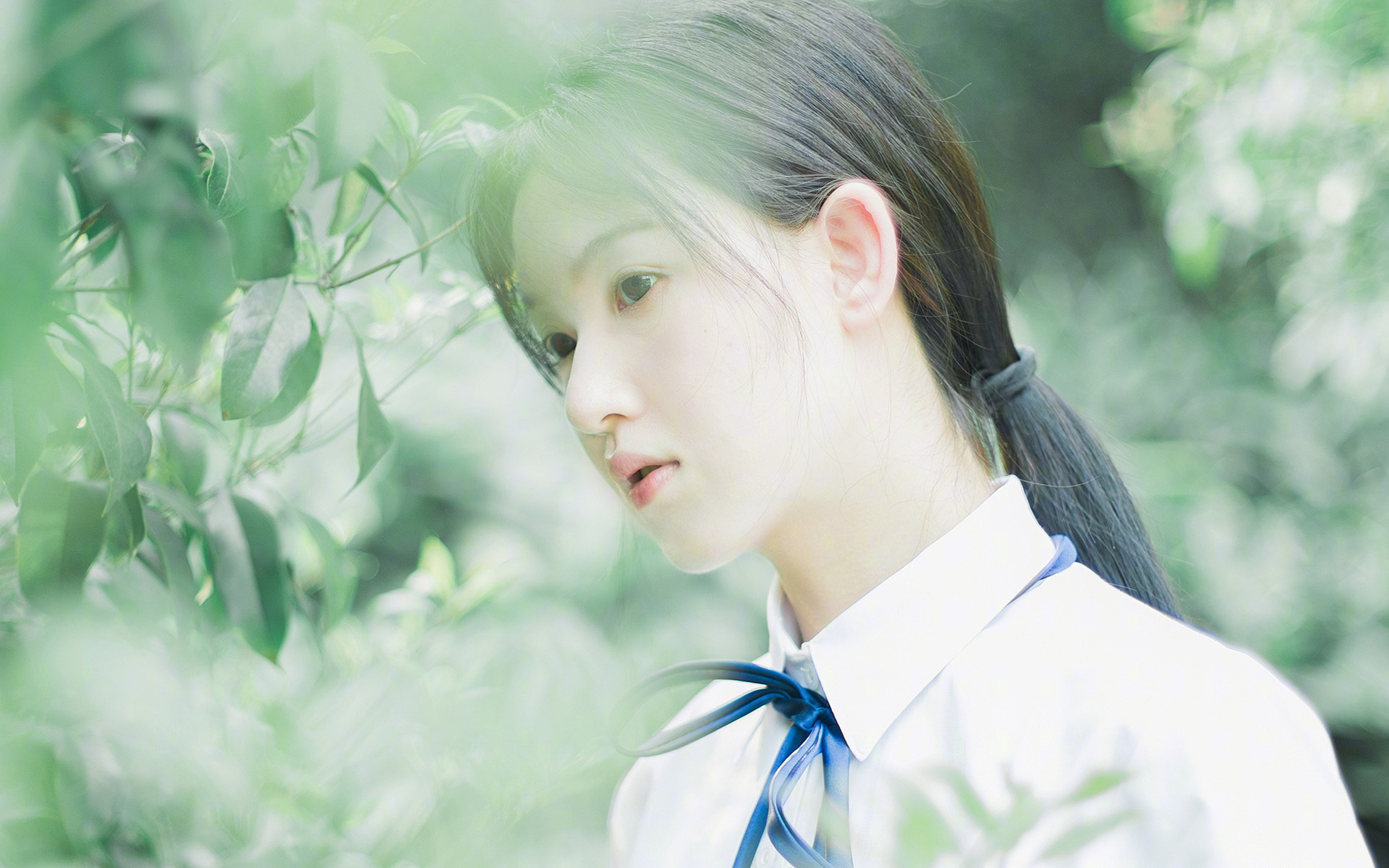 大型体育场馆资源对接与公益服务机制建设,大型体育场馆服务品质提升