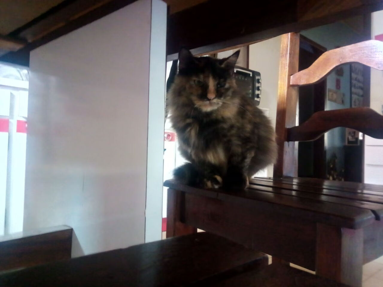 意甲球队结合数据分析优化中场传球线路布局,意甲球址汇