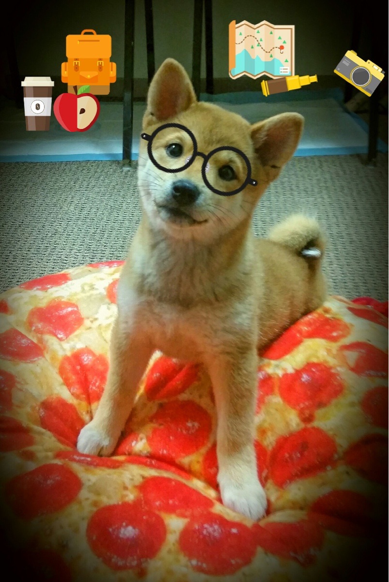 篮球专项体能训练对竞技表现的影响研究,体能对篮球的意义与应用