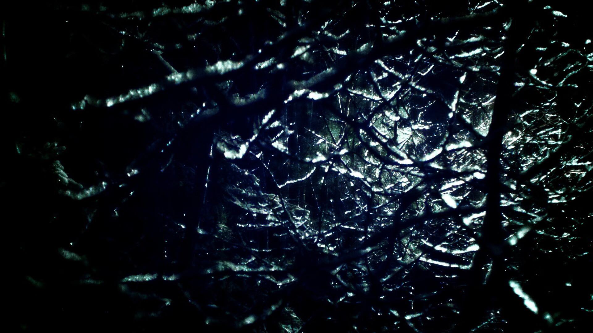 青少年体育活动组织管理模式创新,青少年体育管理的基本原则