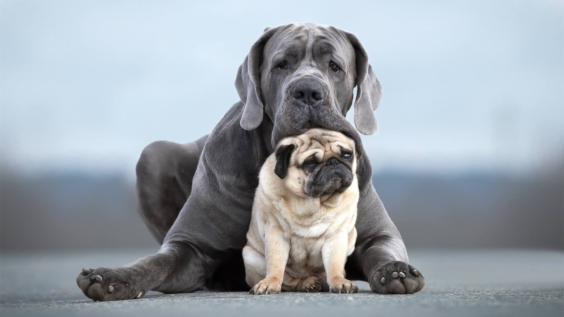 英雄联盟季后赛阶段看点十足每场皆焦点,英雄联盟lol季后赛