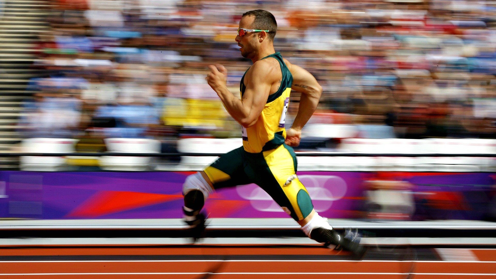 “数字青训+行业标准”协同推进，行业生态不断完善