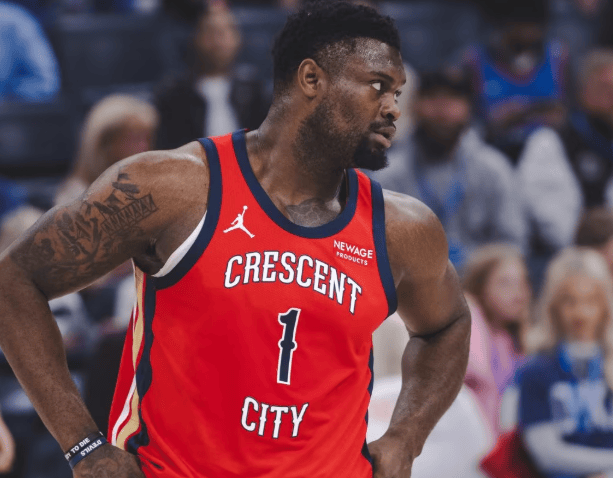 包含威廉森：鹈鹕的未来之星的词条